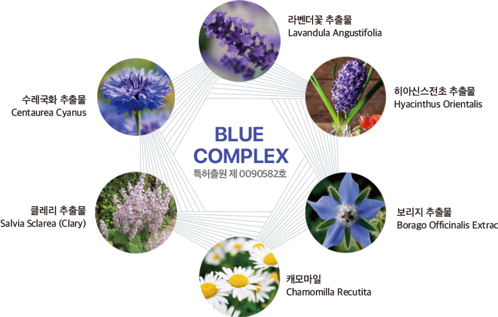 BLUE COMPLEX · 6종 허브 추출물 성분 다이어그램